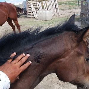 Meet your Posher, Cesar